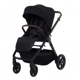 Детская коляска Espiro Only 2 в 1 2025 410 stylish black