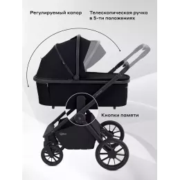 Коляска 2 в 1 Rant Falcon Neo Black
