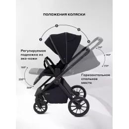 Коляска 2 в 1 Rant Falcon Neo Black