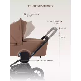 Коляска 2 в 1 Rant Flex 2025 RA076 Brownie