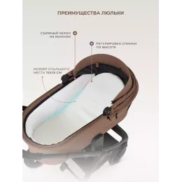 Коляска 2 в 1 Rant Flex 2025 RA076 Brownie