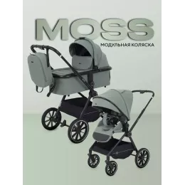 Коляска 2 в 1 Rant Moss 2025 Olive