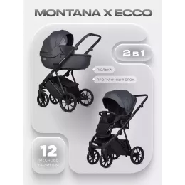 Коляска 2 в 1 Riko Basic Montana X Ecco 24 Graphite