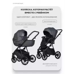 Коляска 2 в 1 Riko Basic Montana X Ecco 24 Graphite