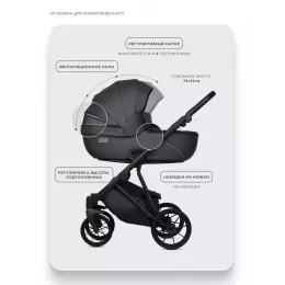 Коляска 2 в 1 Riko Basic Montana X Ecco 24 Graphite
