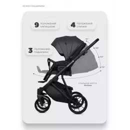 Коляска 2 в 1 Riko Basic Montana X Ecco 24 Graphite