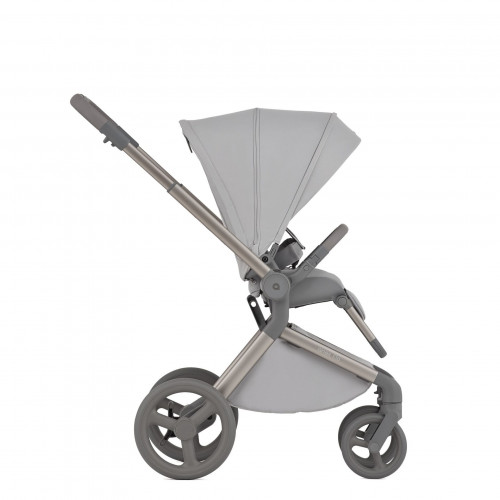 Купить коляску 2в1 Anex Flo, в цвете Frossy