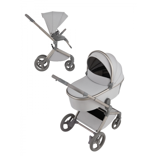 Купить коляску 2в1 Anex Flo, в цвете Frossy