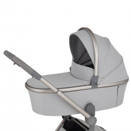 Купить коляску 2в1 Anex Flo, в цвете Frossy