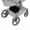 Купить коляску 2в1 Anex Flo, в цвете Frossy