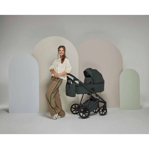 Детская коляска Adamex Delta Natura 2 в 1 DN-12-FOREST