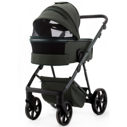 Детская коляска Adamex Delta Natura 2 в 1 DN-12-FOREST