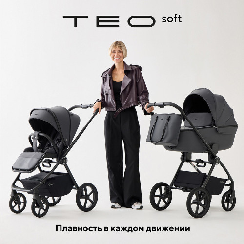 Детская коляска Rant Teo Soft 2 в 1 Graphite