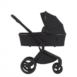 Купить коляску 2в1 Anex Flo, в цвете Lungo