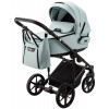 Детская коляска Adamex Zico 2 в 1 Z-TK27 СЕРО-ЗЕЛ.ТК