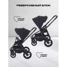 Коляска 2 в 1 Rant Flex 2025 RA076 Black