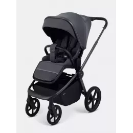 Коляска 2 в 1 Rant Flex Forma Graphite