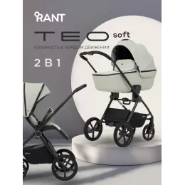 Коляска 2 в 1 Rant Teo Soft Sage