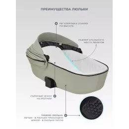 Коляска 2 в 1 Rant Teo Soft Sage