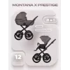 Коляска 2 в 1 Riko Basic Montana X Prestige 01 коричневый