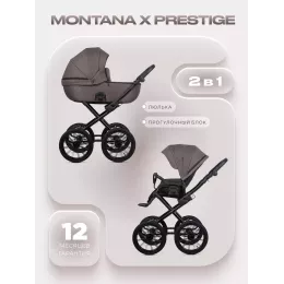 Коляска 2 в 1 Riko Basic Montana X Prestige 01 коричневый