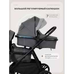 Коляска для двойни 2 в 1 Rant Basic Dualo Graphite