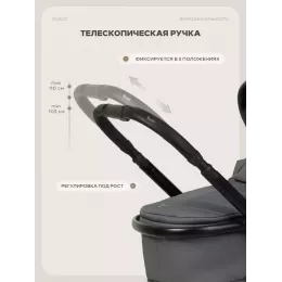 Коляска для двойни 2 в 1 Rant Basic Dualo Graphite