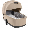 Коляска Carrello Alfa CRL-6522 2025 Ammonite AY329 Pro Absolute Black 3 в 1 Natural Beige