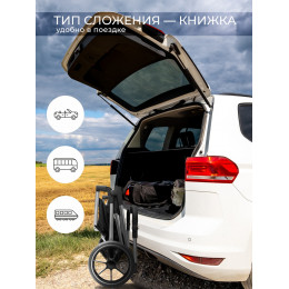 Коляска 3 в 1 Sweet Baby Ricci + автокресло Premier Black Black