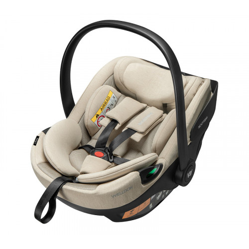 Детская коляска Peppy Monaco Plus 3 в 1 с автокреслом Welldon Crown 2 Black (черный), рама черная