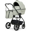 Детская коляска Rant Teo Soft 3 в 1 с автокреслом Evomax Grey Sage