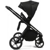 Детская коляска Peppy Monaco Plus 3 в 1 с автокреслом Welldon Crown 2 Black (черный), рама черная