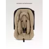 Коляска 3 в 1 Rant Flex 2025 RA077 Mocca