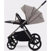 Детская коляска Rant Teo Soft 3 в 1 с автокреслом Aster Zero Black Cloud