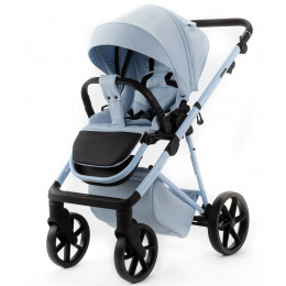 Детская коляска Adamex Delta Natura 3 в 1 DN-1-SKY