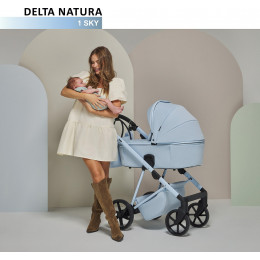 Детская коляска Adamex Delta Natura 3 в 1 DN-1-SKY