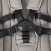 Детская коляска Rant Teo Soft 3 в 1 с автокреслом Aster Zero Black Cloud