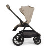 Купить коляску 3в1 Nuna TRIV LX AS Cosmopolitan + автокресло Nuna ARRA FLEX Cedar
