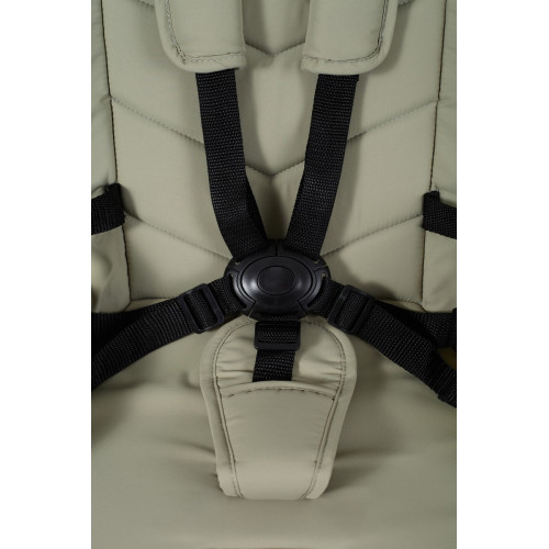 Детская коляска Rant Flex 3 в 1 RA077 Light Green