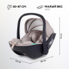 Детская коляска AmaroBaby Motus Premium Ecco Exclusive 4 в 1 с автокреслом Rant Miro Beige и базой черный