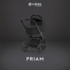 Коляска Cybex Priam IV Matt Black complete Cloud G Fog Grey Base G 4 в 1 Sepia Black