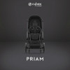 Коляска Cybex Priam IV Matt Black complete Cloud G Fog Grey Base G 4 в 1 Sepia Black