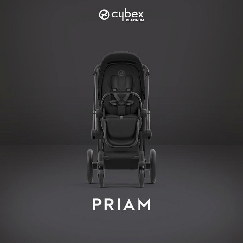 Коляска Cybex Priam IV Matt Black complete Cloud G Fog Grey Base G 4 в 1 Sepia Black