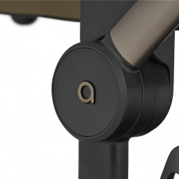 Детская коляска Anex Flo 4 в 1 и автокресло Biuco BC100B + База Anex Karwala ISOFix Astra