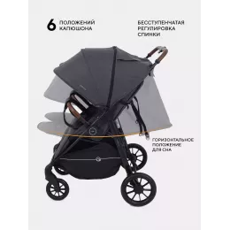 Коляска прогулочная для двойни Rant Twinny Graphite 2025