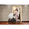Коляска Inglesina Aptica 4 в 1 Black SLG Silk Grey