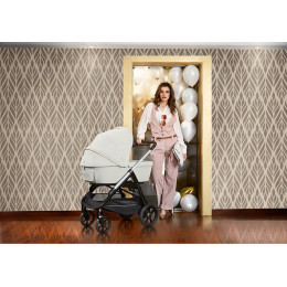 Коляска Inglesina Aptica 4 в 1 Black SLG Silk Grey