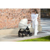 Коляска Inglesina Aptica 4 в 1 Black SLG Silk Grey