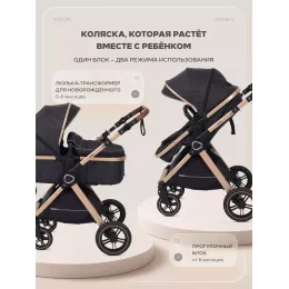 Коляска-трансформер Rant Basic Roller Gold 2024 Black