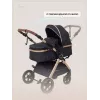 Коляска-трансформер Rant Basic Roller Gold 2024 Black